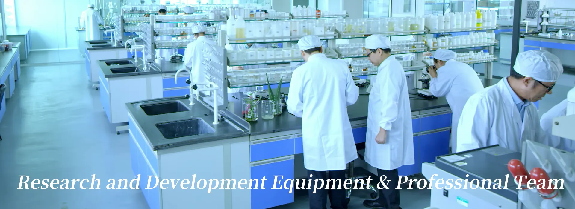 product-1920-700 product-1920-700