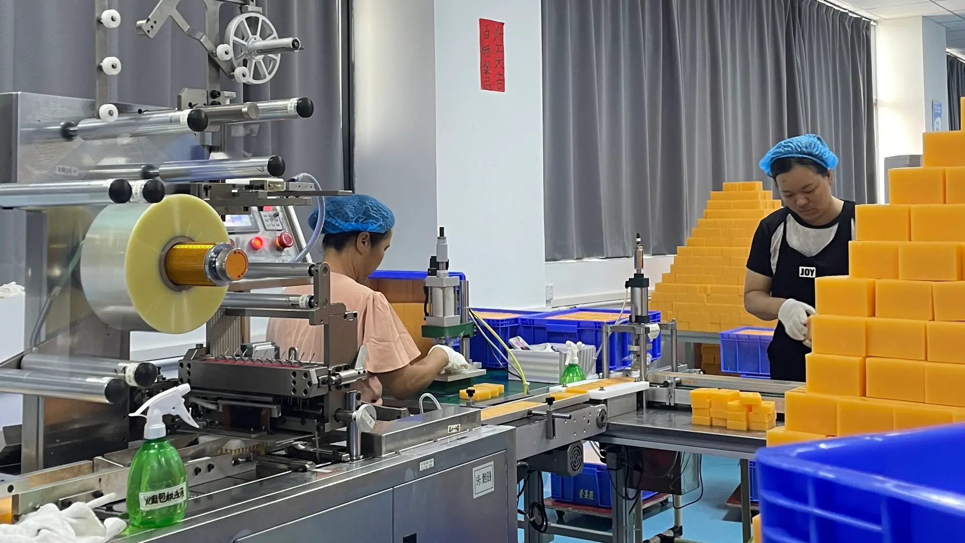 Packaging and Carton Area